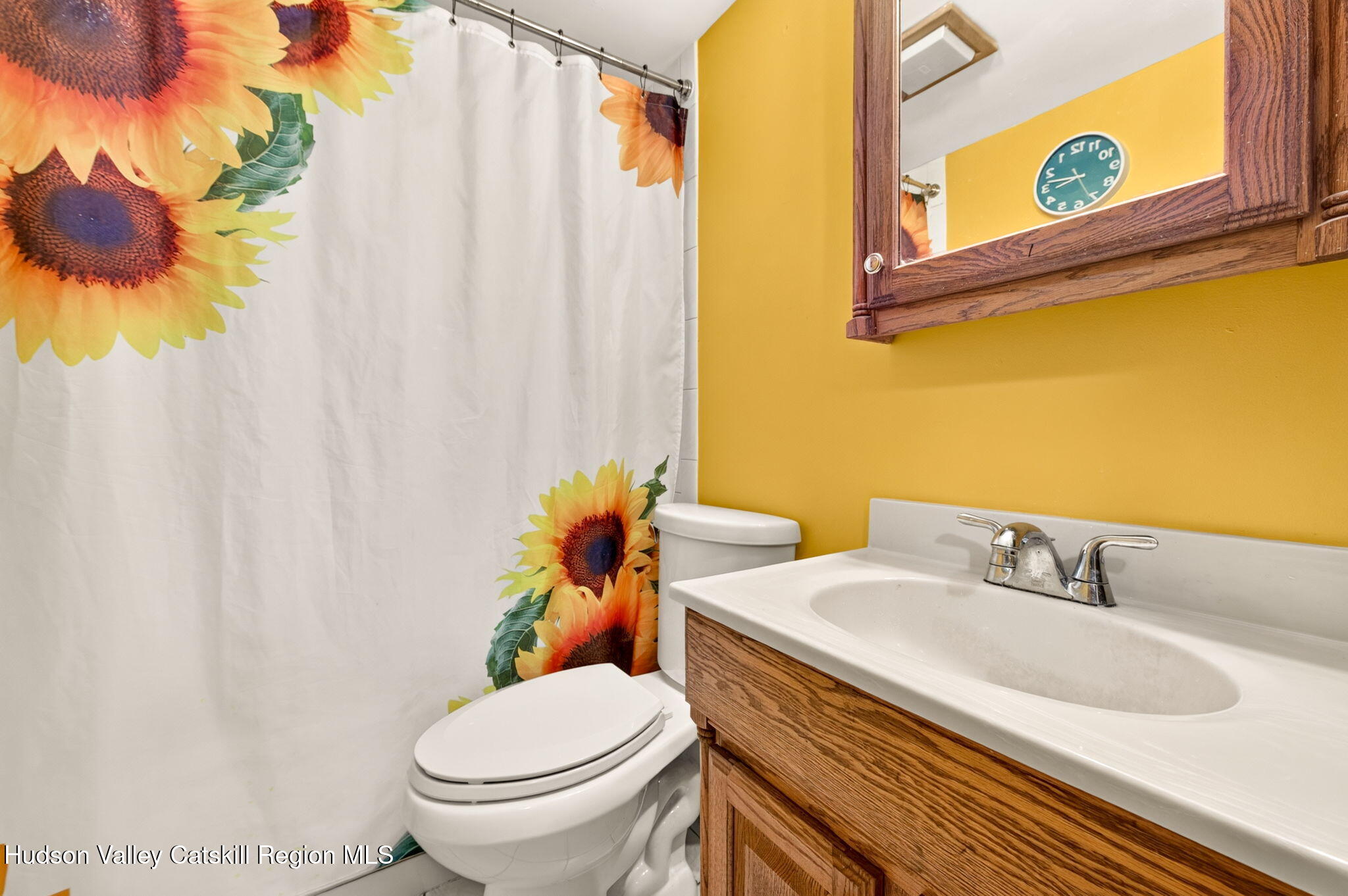 1 Center Road Mount Marion, NY 12456 - Photo 15 of 20 bathroom