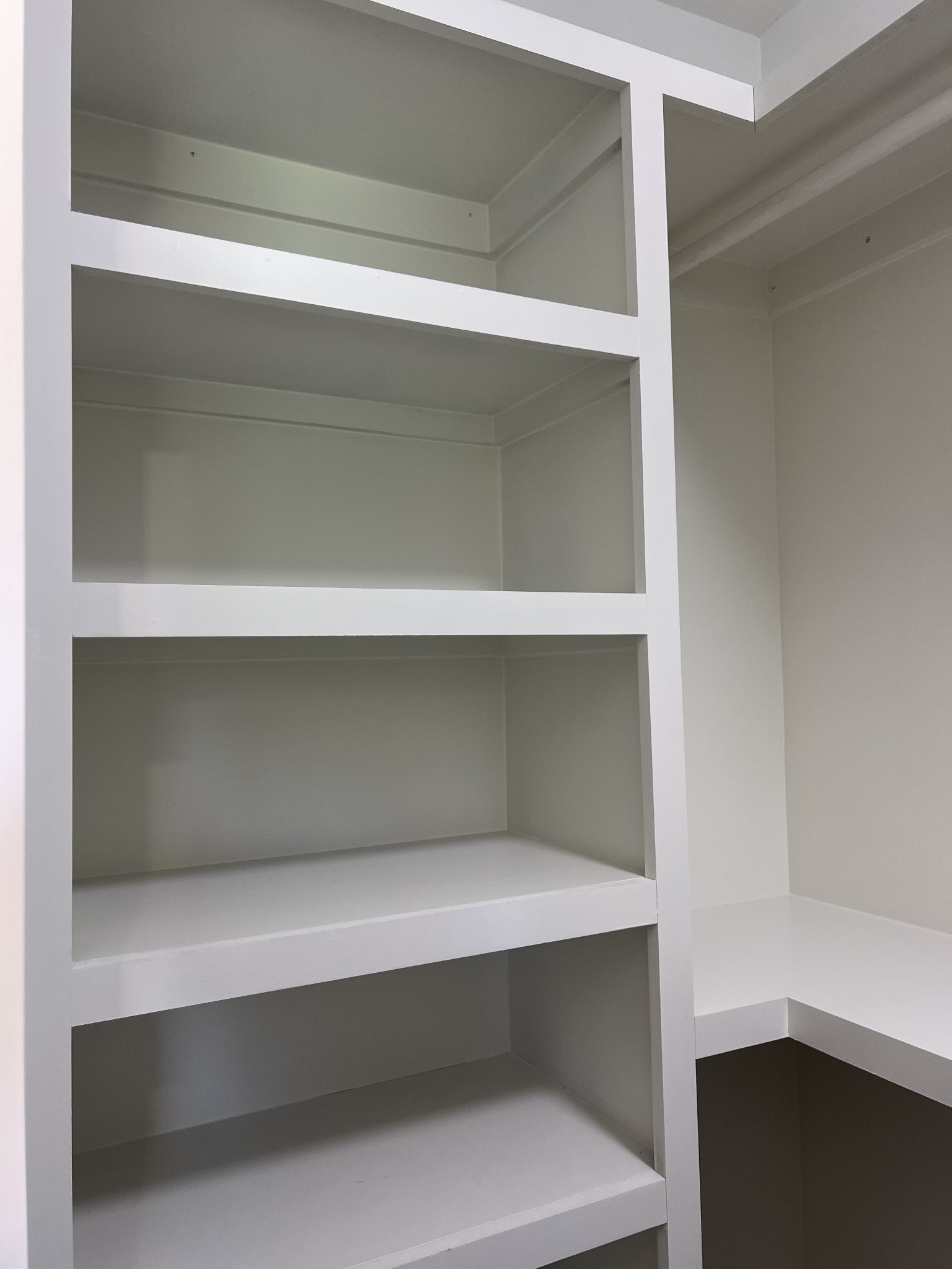 7140 Carthage Road Pleasant Shade, TN 37145 - Photo 22 of 36 a close view of closet