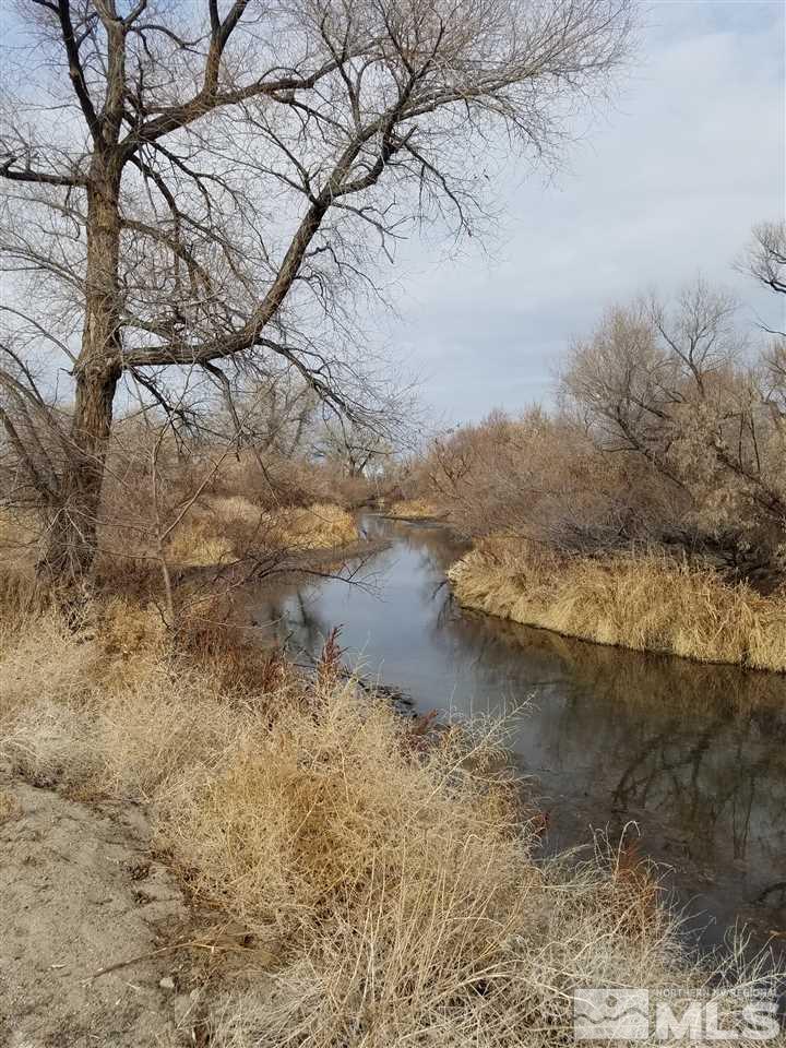 3700 Alcorn Road Fallon, NV 89406 - Photo 20 of 25 a view of a yard with a tree