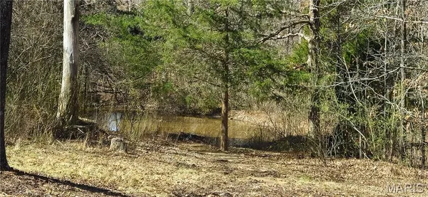 $224,900 | 522 Highway 49, Davisville, MO 65456