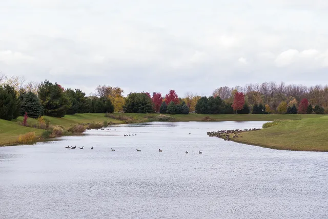 a view of swimming pool with a yard