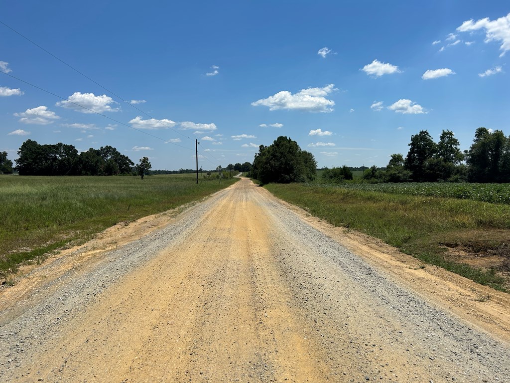 132.3-ac Green Road Dothan, AL 36303 - Photo 54 of 63