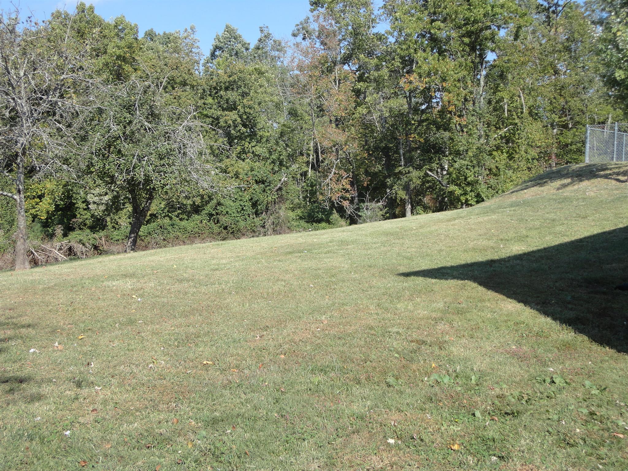 1665 Johnson Chapel Road Sparta, TN 38583 - Photo 24 of 26 Back yard