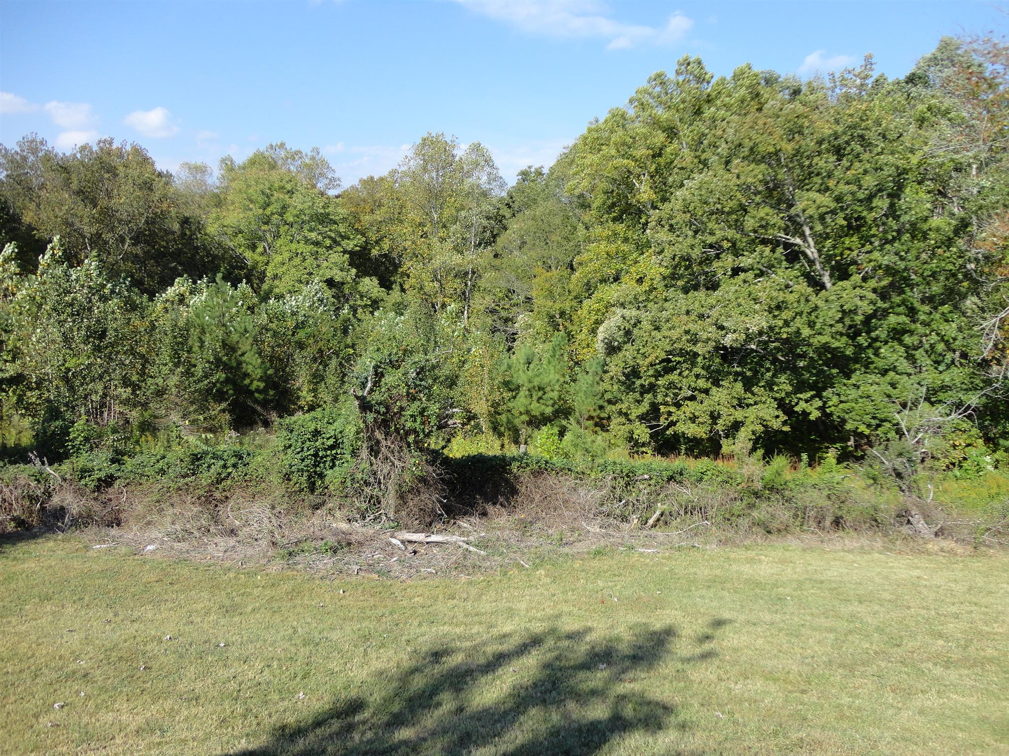 1665 Johnson Chapel Road Sparta, TN 38583 - Photo 25 of 26 Back yard privacy