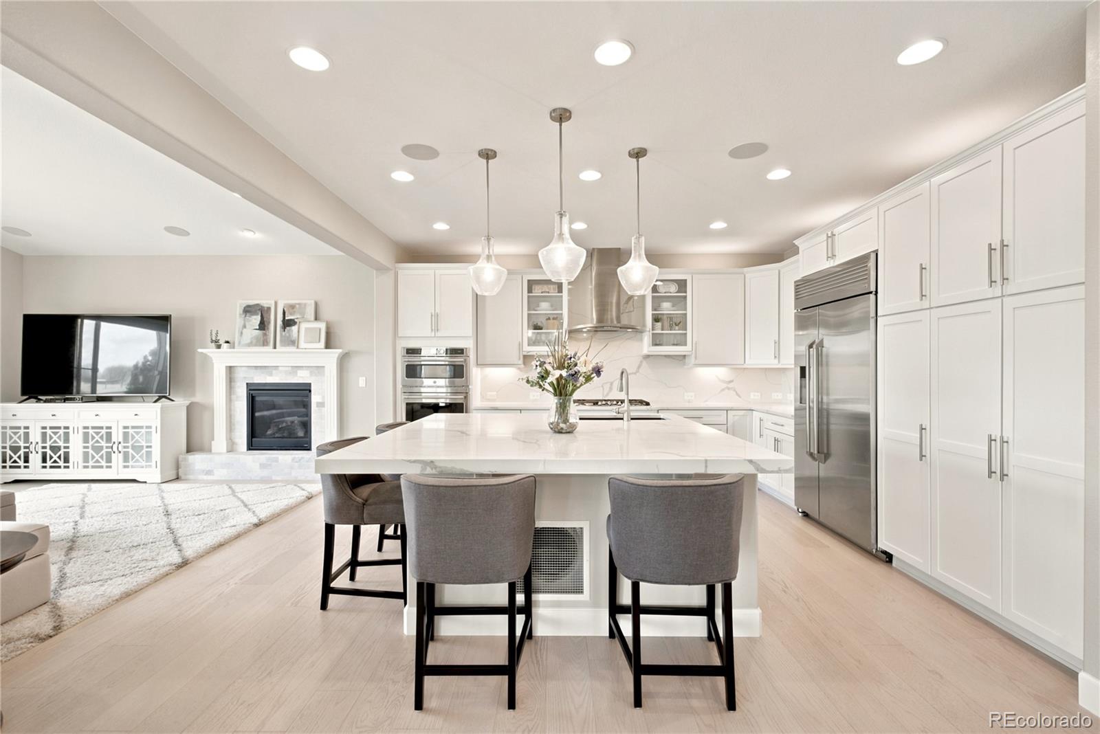 10879 Red Sun Court Highlands Ranch, CO 80126 - Photo 6 of 50