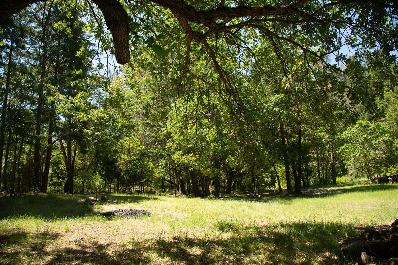 10041 Highway 299, Unit 299 Burnt Ranch, CA 95527 - Photo 34 of 44