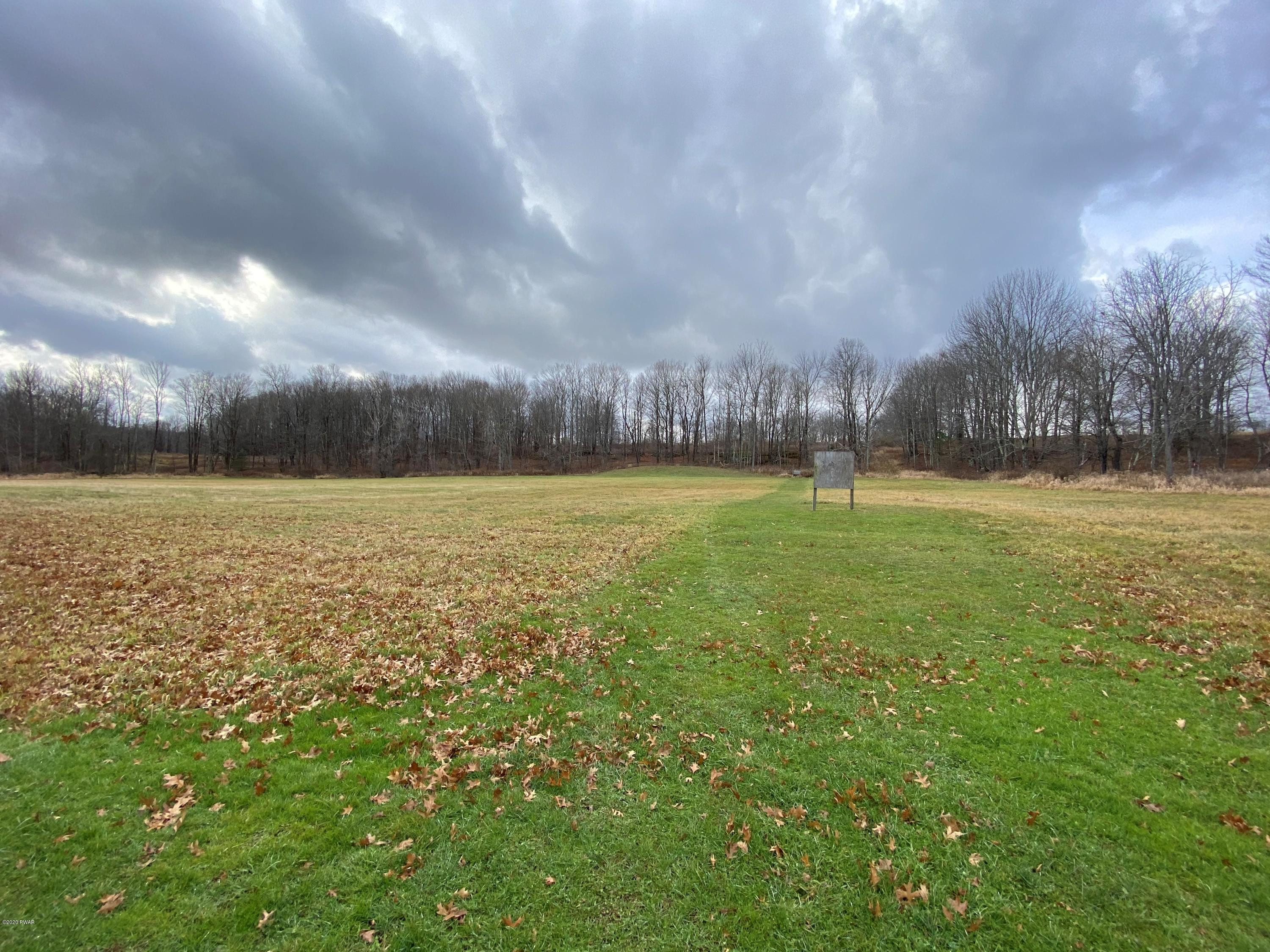 135 Church Road Damascus, PA 18415 - Photo 27 of 34 Large Cleared Acreage