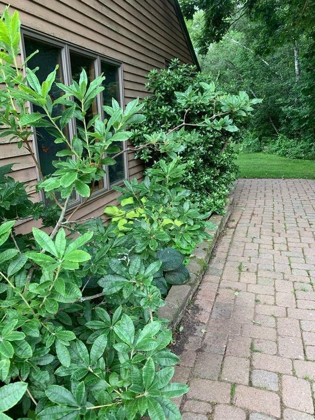 175 N Road Winterport, ME 04496 - Photo 6 of 68 IMG_1119