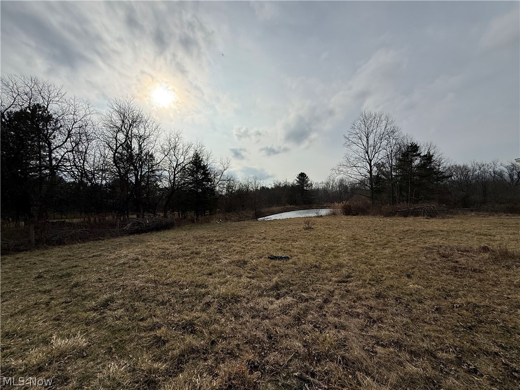 8290 Avon Lake Road Lodi, OH 44254 - Photo 5 of 14