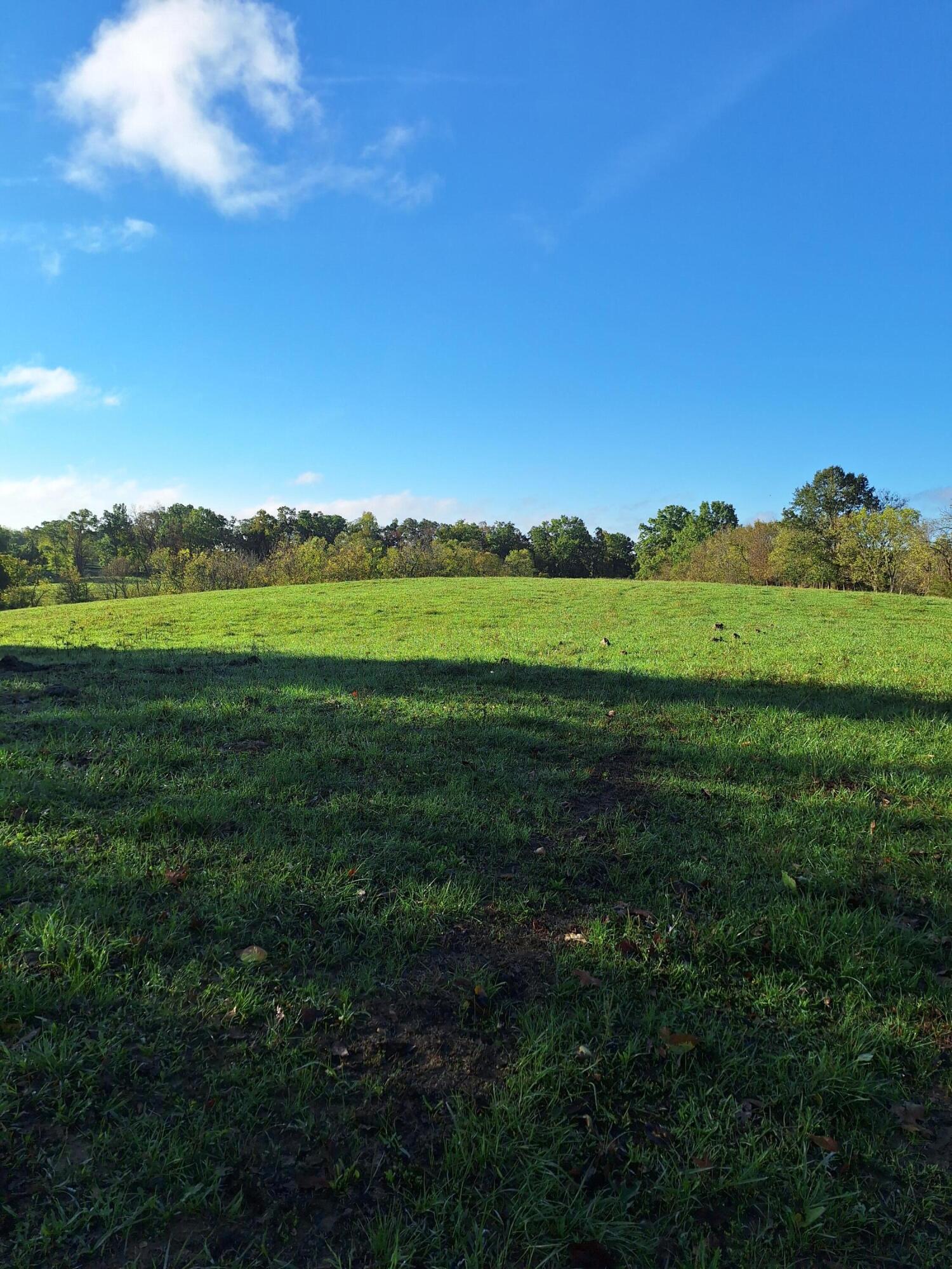 0 Casey Mill Road Berry, KY 41003 - Photo 17 of 28 Gallery Image 17