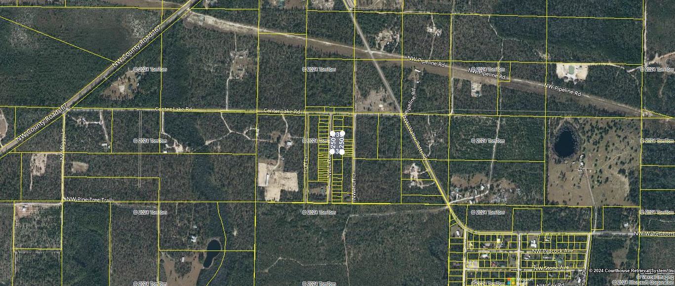 Xxxx Northwest Center Lake Road Fountain, FL 32438 - Photo 2 of 4