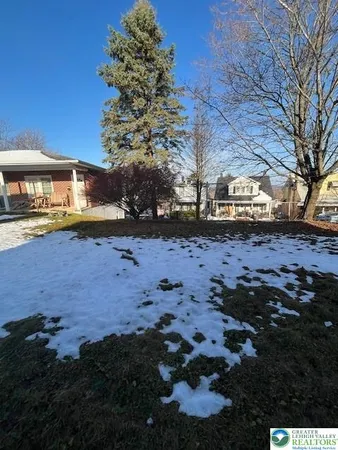 a view of a yard with plants and a large tree