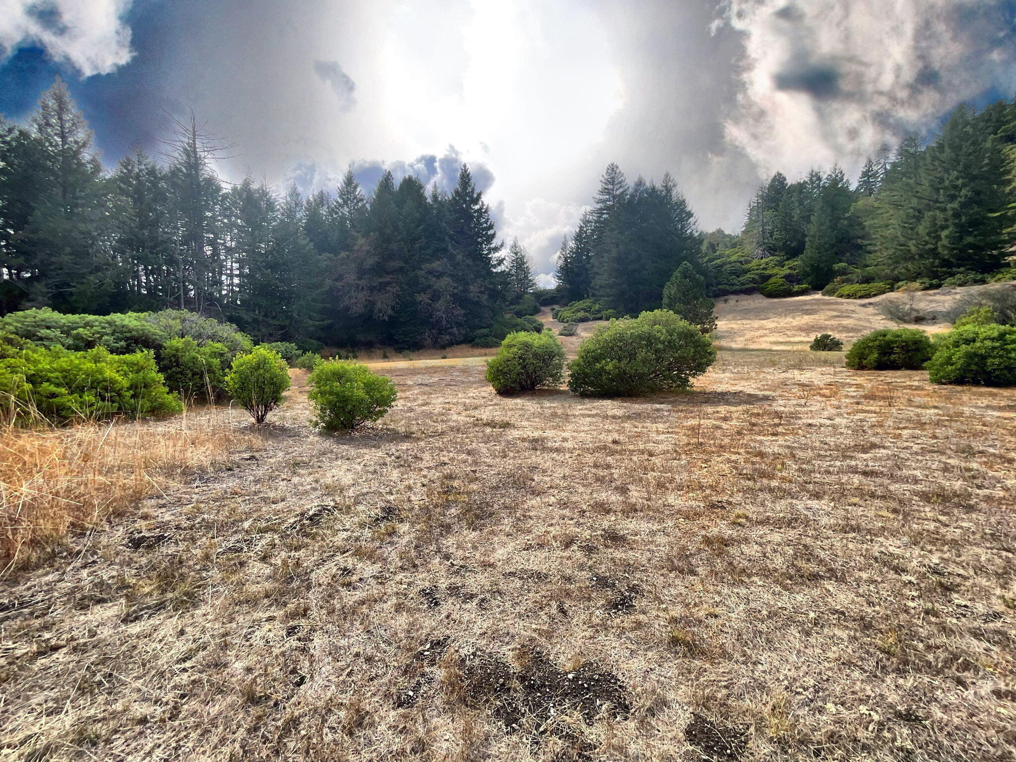444 Newsome Road Bridgeville, CA 95526 - Photo 47 of 48