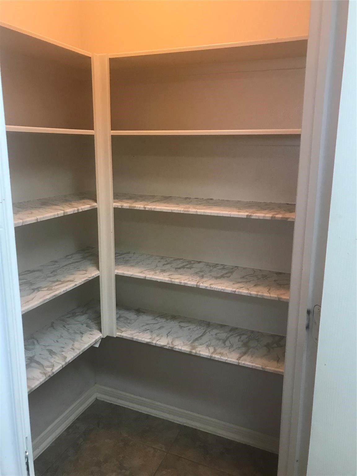 22531 Goss Spring Court Spring, TX 77373 - Photo 8 of 24 Kitchen pantry