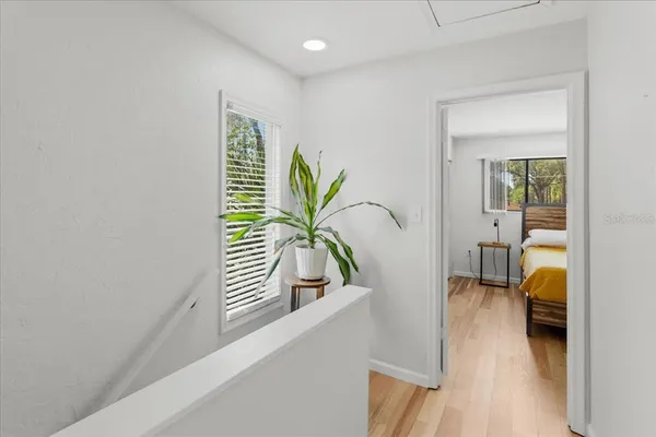 a view of a hallway with a flower pot