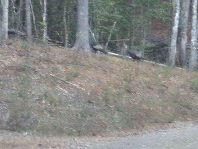 $44,900 | 0 Sol Lane, Murphy, NC 28906