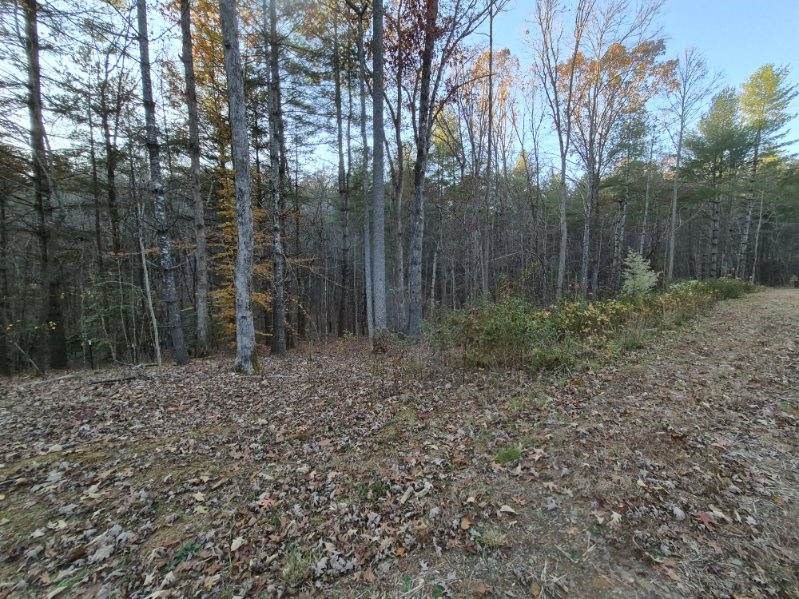 0 Sol Lane Murphy, NC 28906 - Photo 13 of 16 a view of a yard with large trees