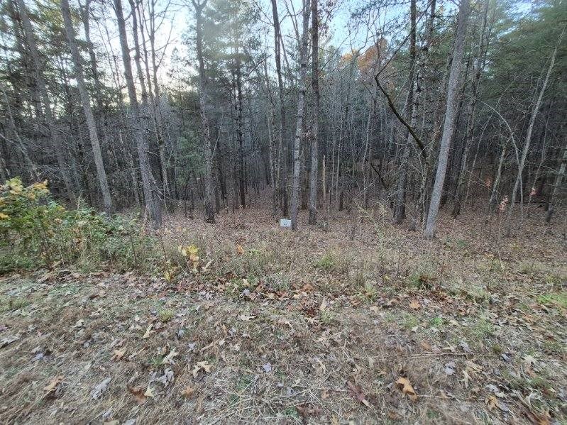 0 Sol Lane Murphy, NC 28906 - Photo 15 of 16 a view of outdoor space and green space