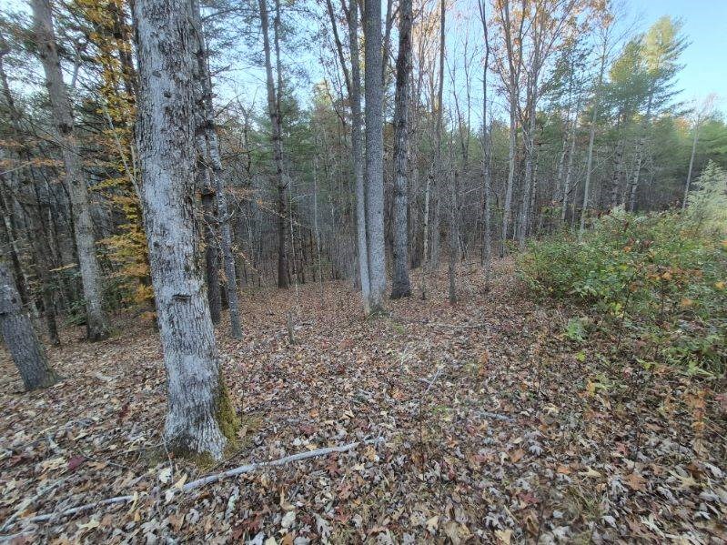 0 Sol Lane Murphy, NC 28906 - Photo 3 of 16 a view of a forest with trees in the background