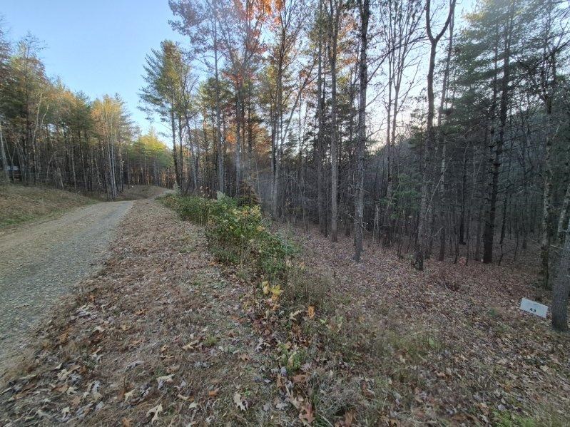 0 Sol Lane Murphy, NC 28906 - Photo 5 of 16 a view of a forest with trees in the background