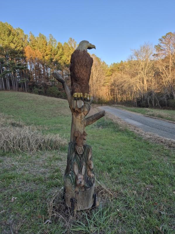 0 Sol Lane Murphy, NC 28906 - Photo 10 of 16 a backyard of a house with lots of green space
