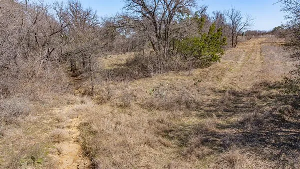 a view of a dry yard with trees