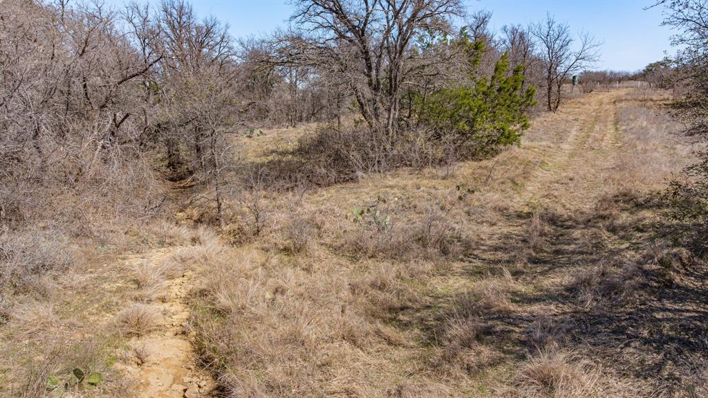 2263 South Main Street Gordon, TX 76453 - Photo 11 of 16 a view of a dry yard with trees