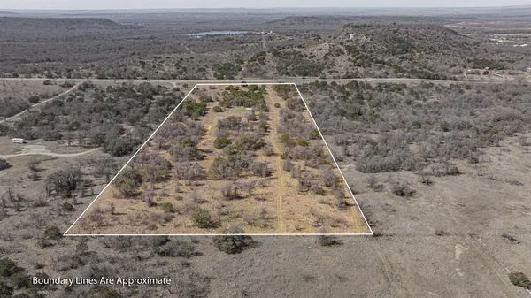 a view of a dry yard