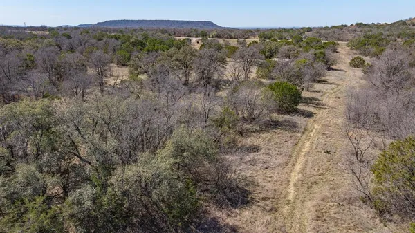 a view of a dry yard with trees in the background