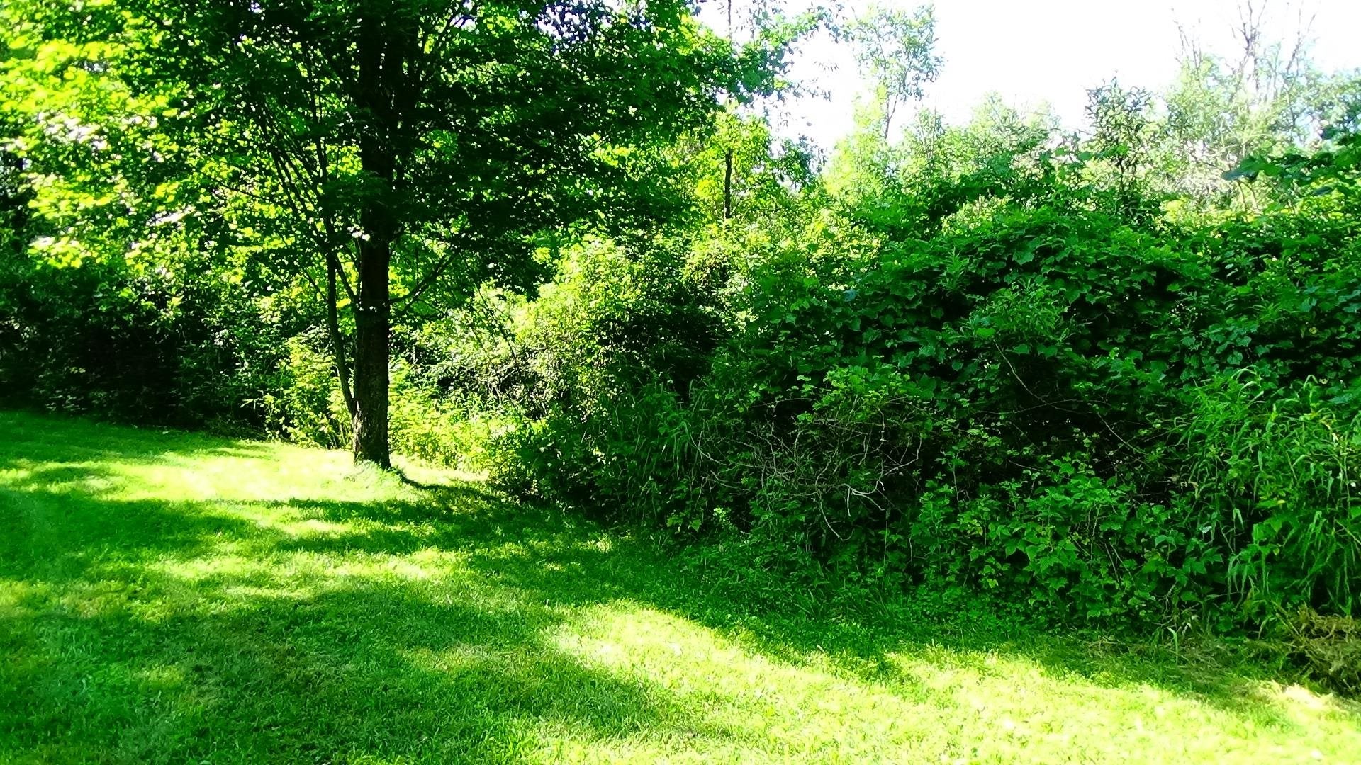 5009 State Road Hale, MI 48739 - Photo 38 of 46 Gallery Image 38