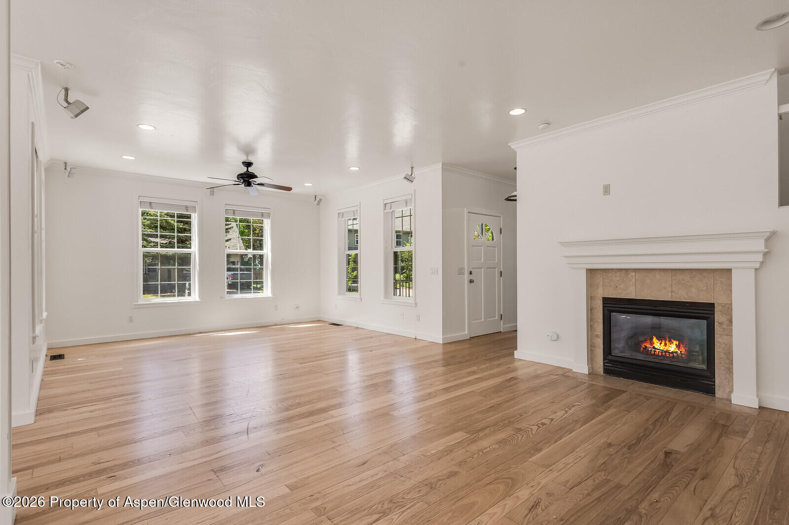 355 Meadow Drive Basalt, CO 81621 - Photo 5 of 38 4-Living Room Fireplace 355_Meadow_Drive