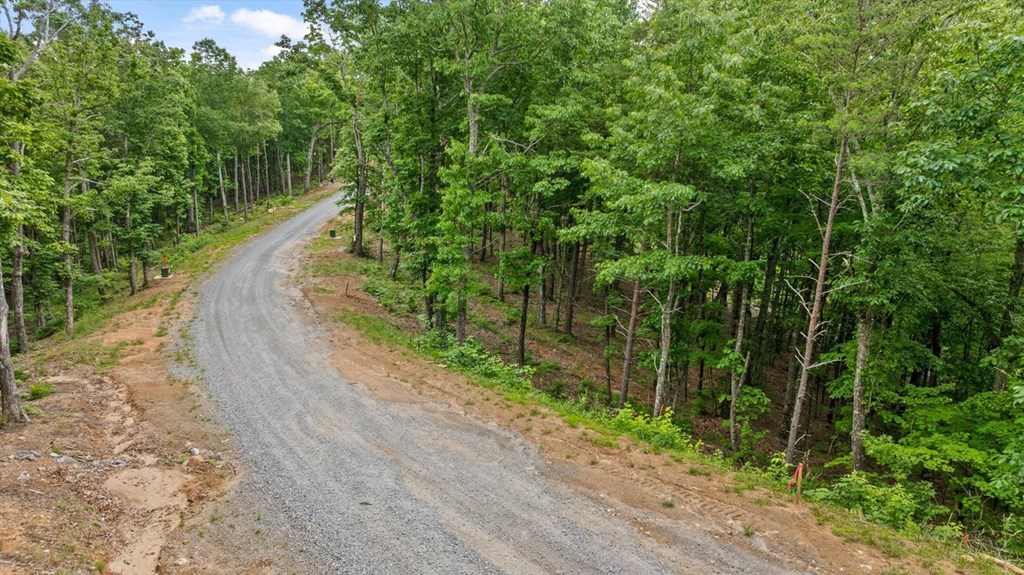 Lot 414 Calloway Mountain Road Talking Rock, GA 30175 - Photo 3 of 25