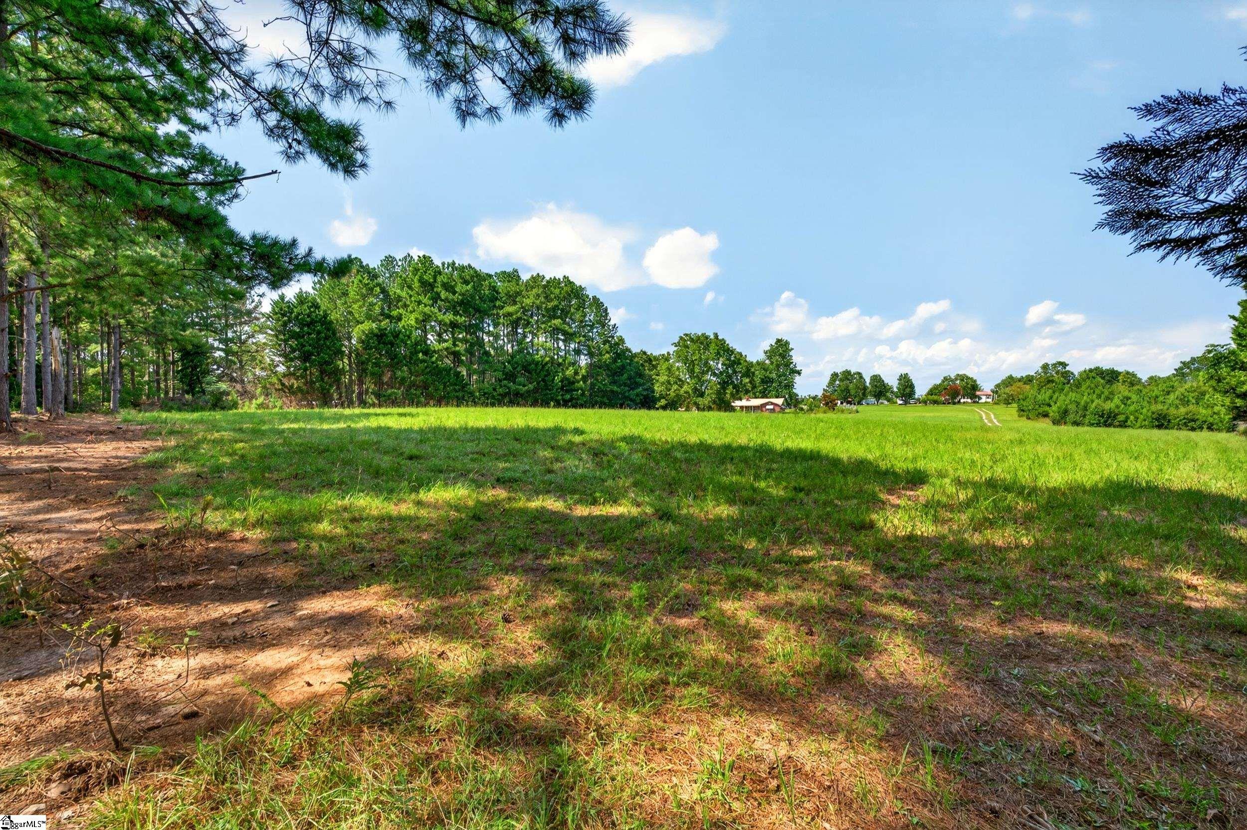 0 Todd Road Honea Path, SC 29654 - Photo 4 of 26 Gallery Image 4