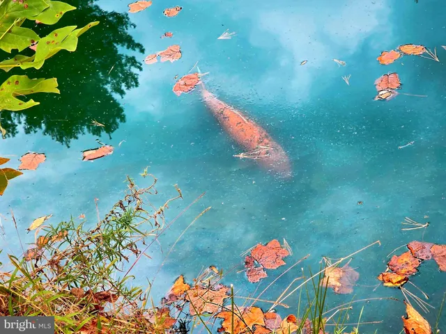 $990,000 | 502 Celebration Hill Road, Biglerville, PA 17307