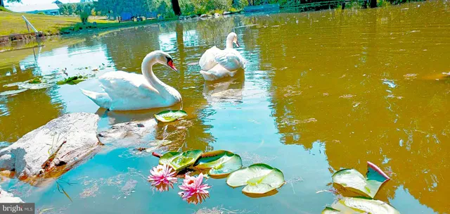 $990,000 | 502 Celebration Hill Road, Biglerville, PA 17307