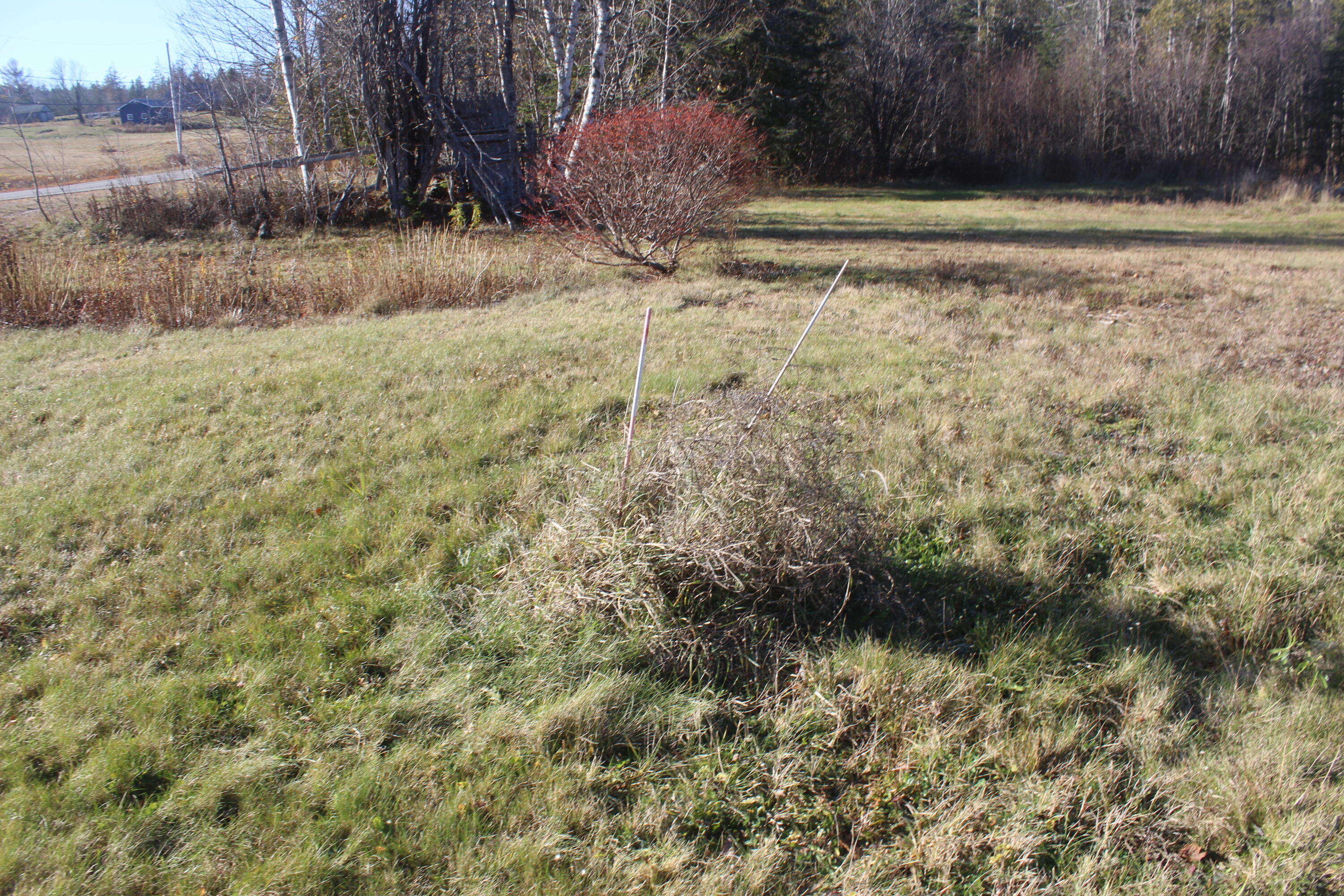 711 Shore Road Perry, ME 04667 - Photo 12 of 13 IMG_4184