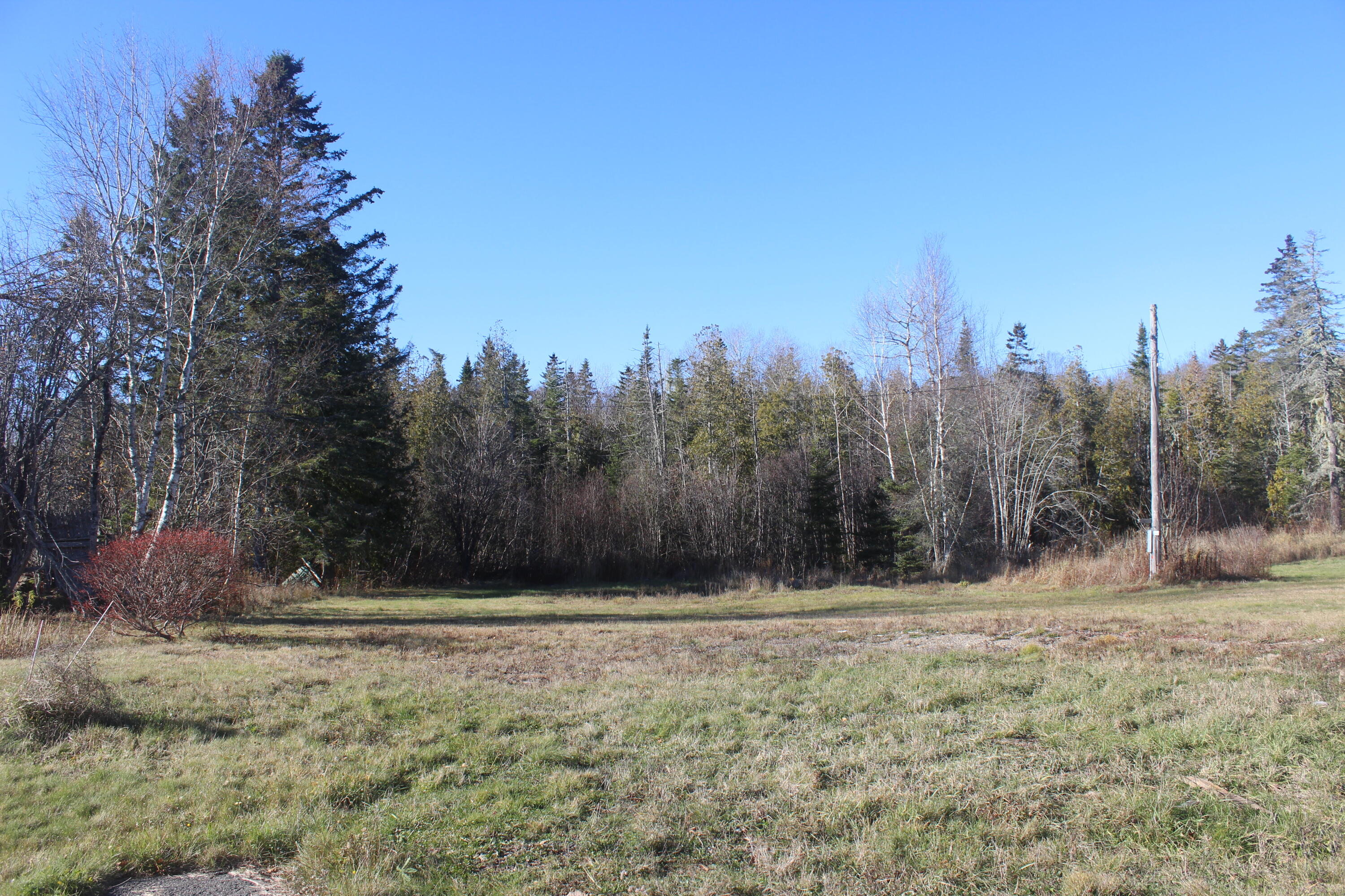 711 Shore Road Perry, ME 04667 - Photo 13 of 13 IMG_4185