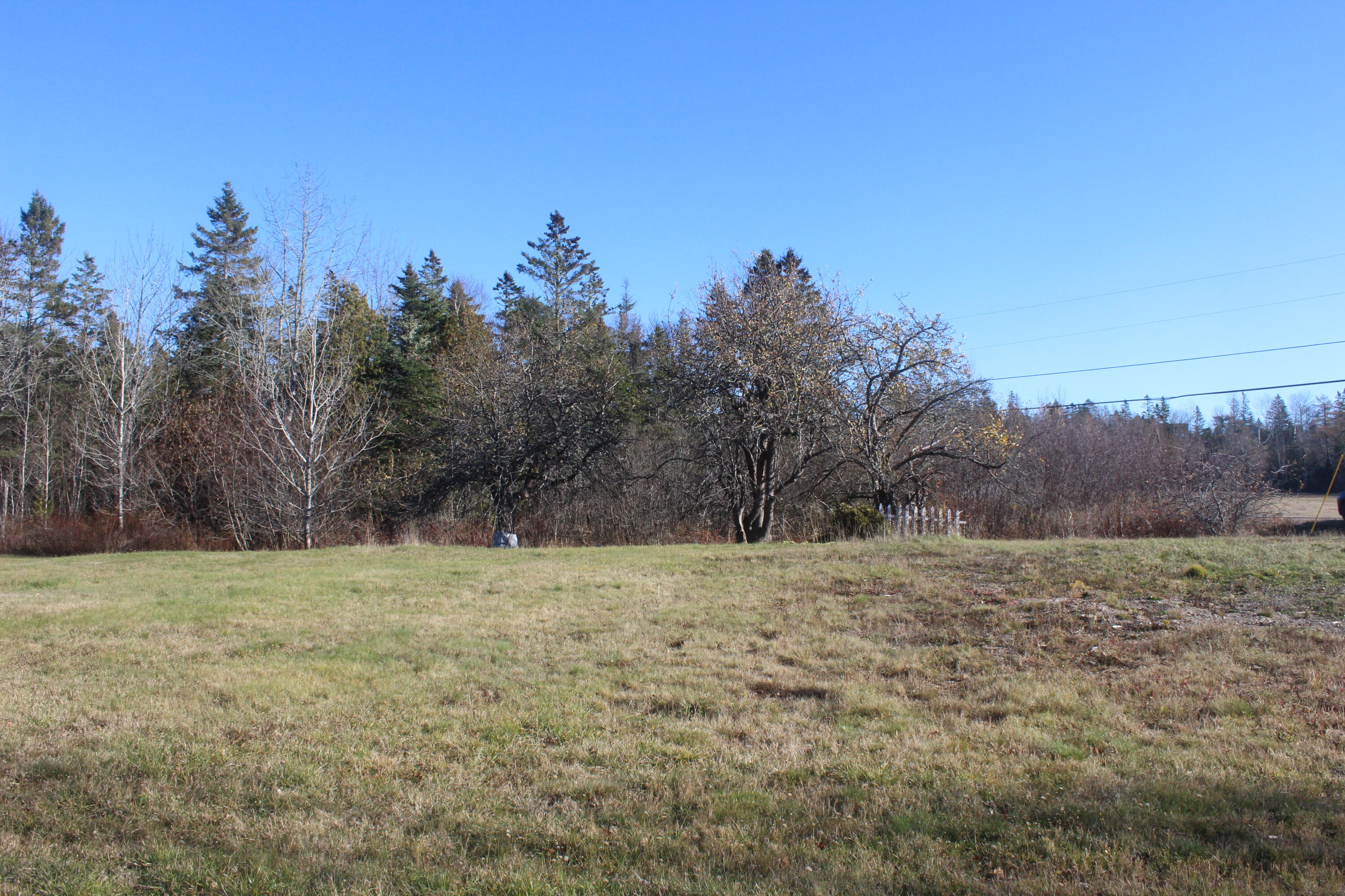 711 Shore Road Perry, ME 04667 - Photo 3 of 13 IMG_4178