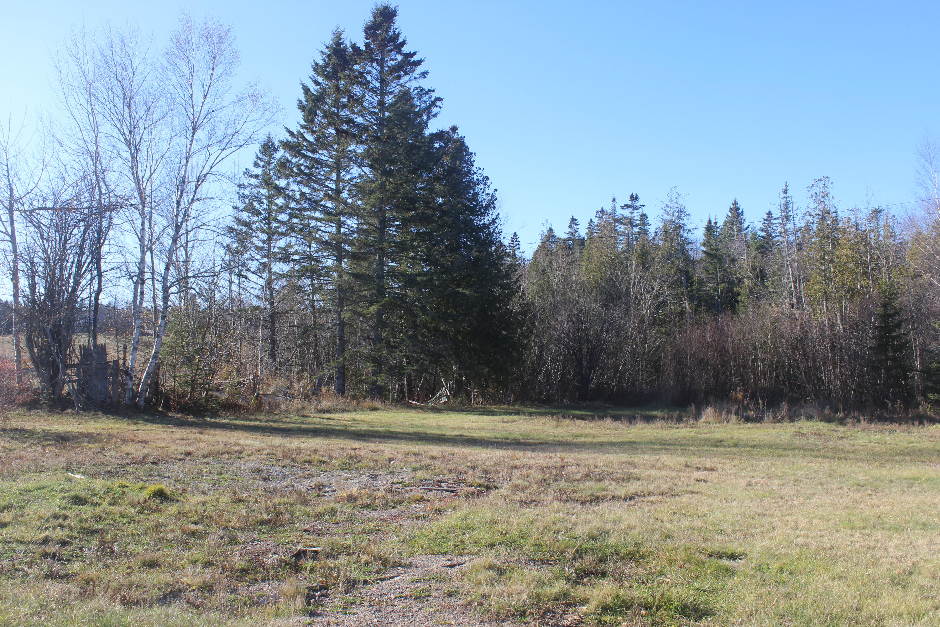 711 Shore Road Perry, ME 04667 - Photo 4 of 13 IMG_4173