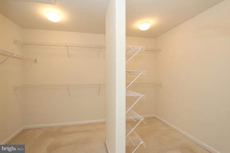 12392 Brown Fox Way Reston, VA 20191 - Photo 12 of 30 Bedroom (Master)