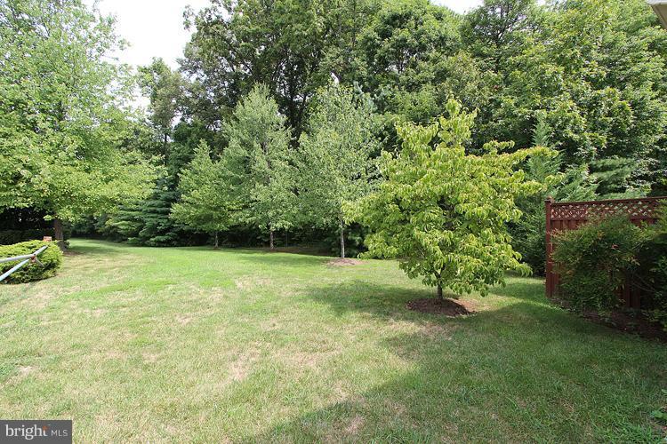 12392 Brown Fox Way Reston, VA 20191 - Photo 26 of 30 Exterior (Rear)