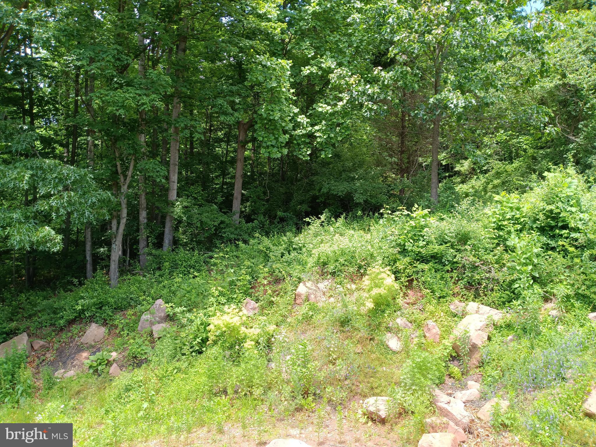 73 Weaver Road Morgantown, PA 19543 - Photo 11 of 29 Gallery Image 11