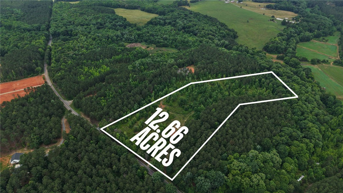 2125 Highway 247 Belton, SC 29627 - Photo 2 of 15 A verdant, 12.66-acre wooded lot offering privacy and serene natural beauty.