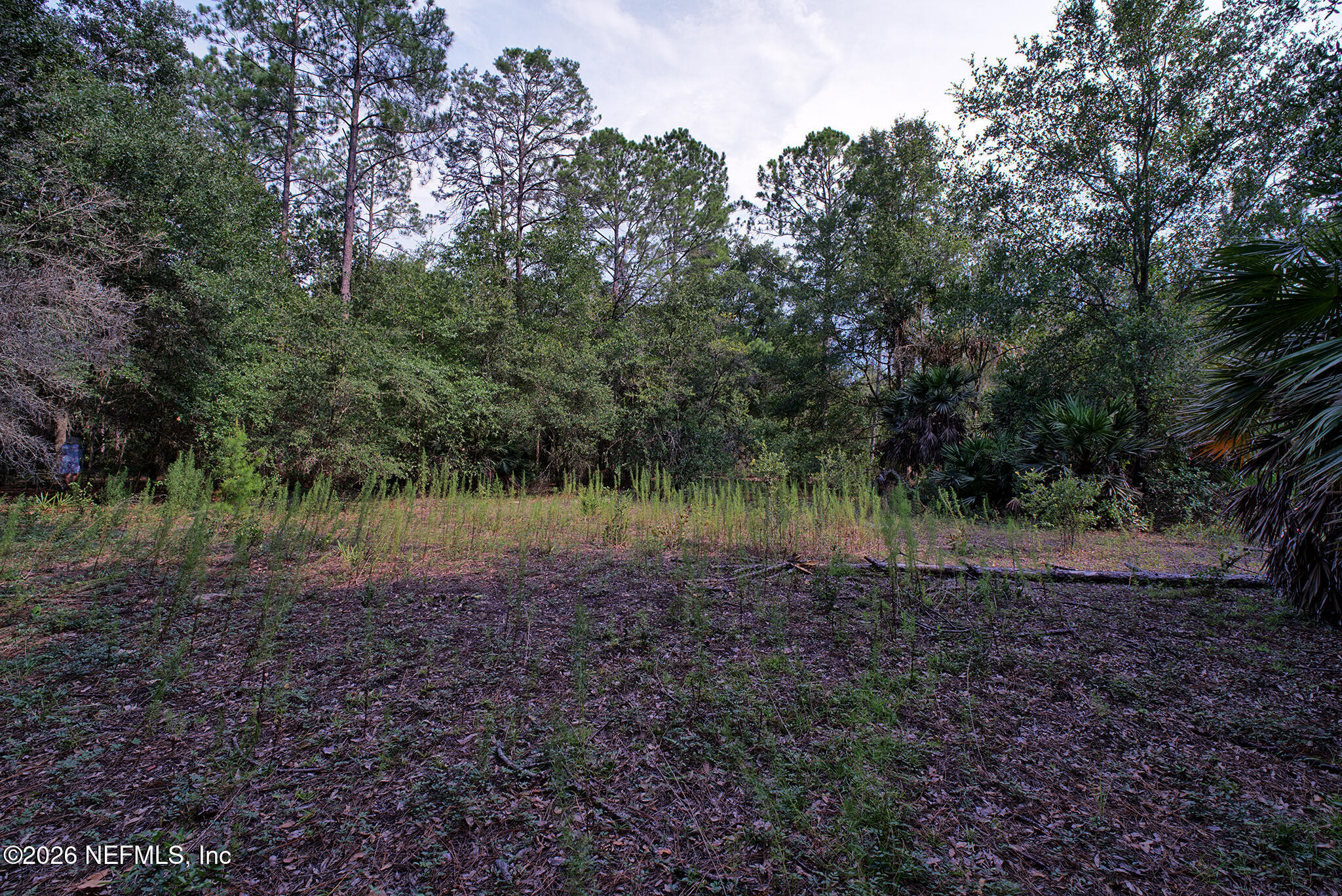 0 Cousintown Road Interlachen, FL 32148 - Photo 22 of 28 Cousintown Rd camera - 10