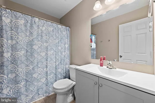 a bathroom with a sink and a toilet