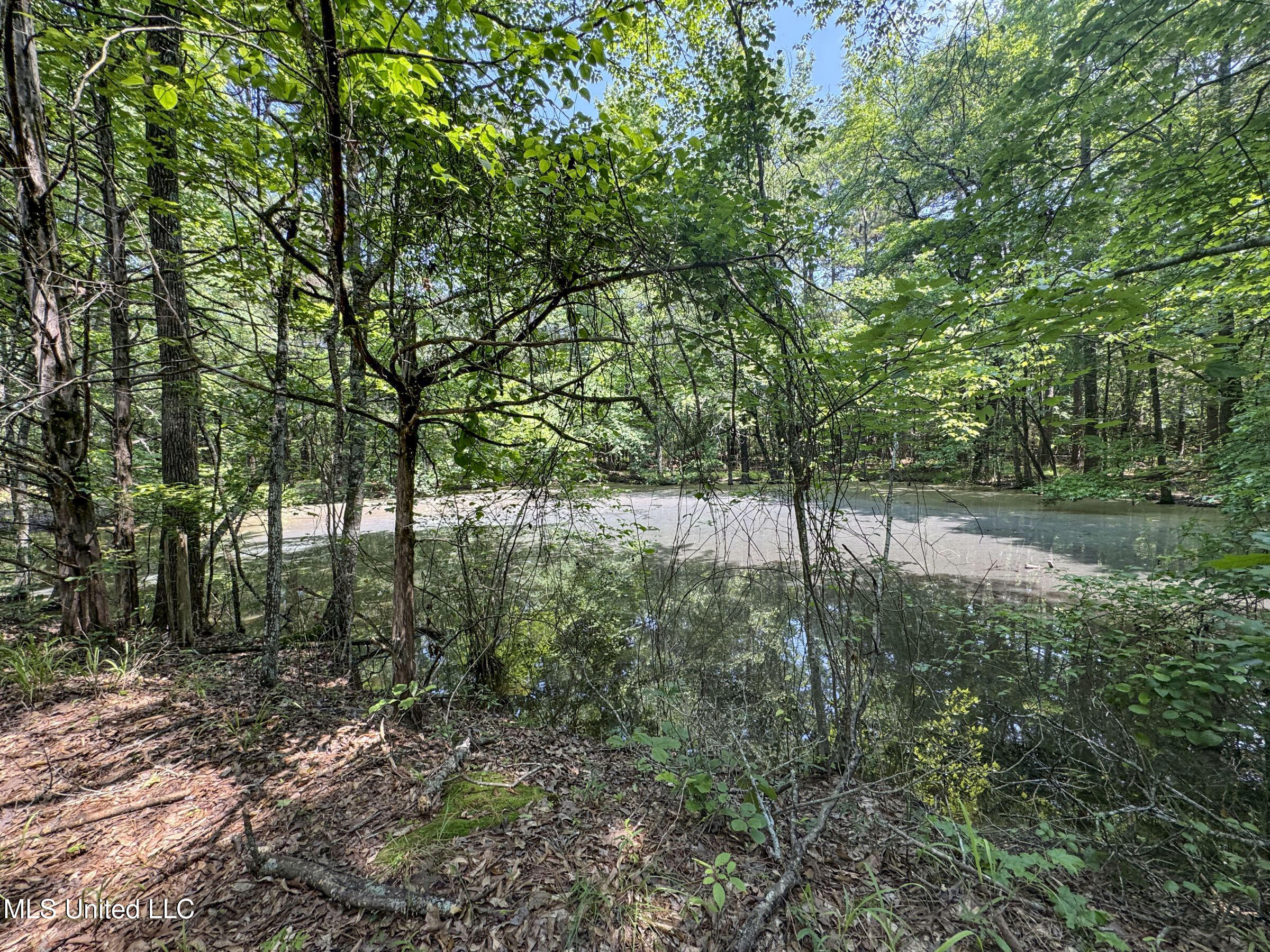 11 1057th Road, Unit COUNTRY Oxford, MS 38655 - Photo 31 of 60 3.1kjsd4