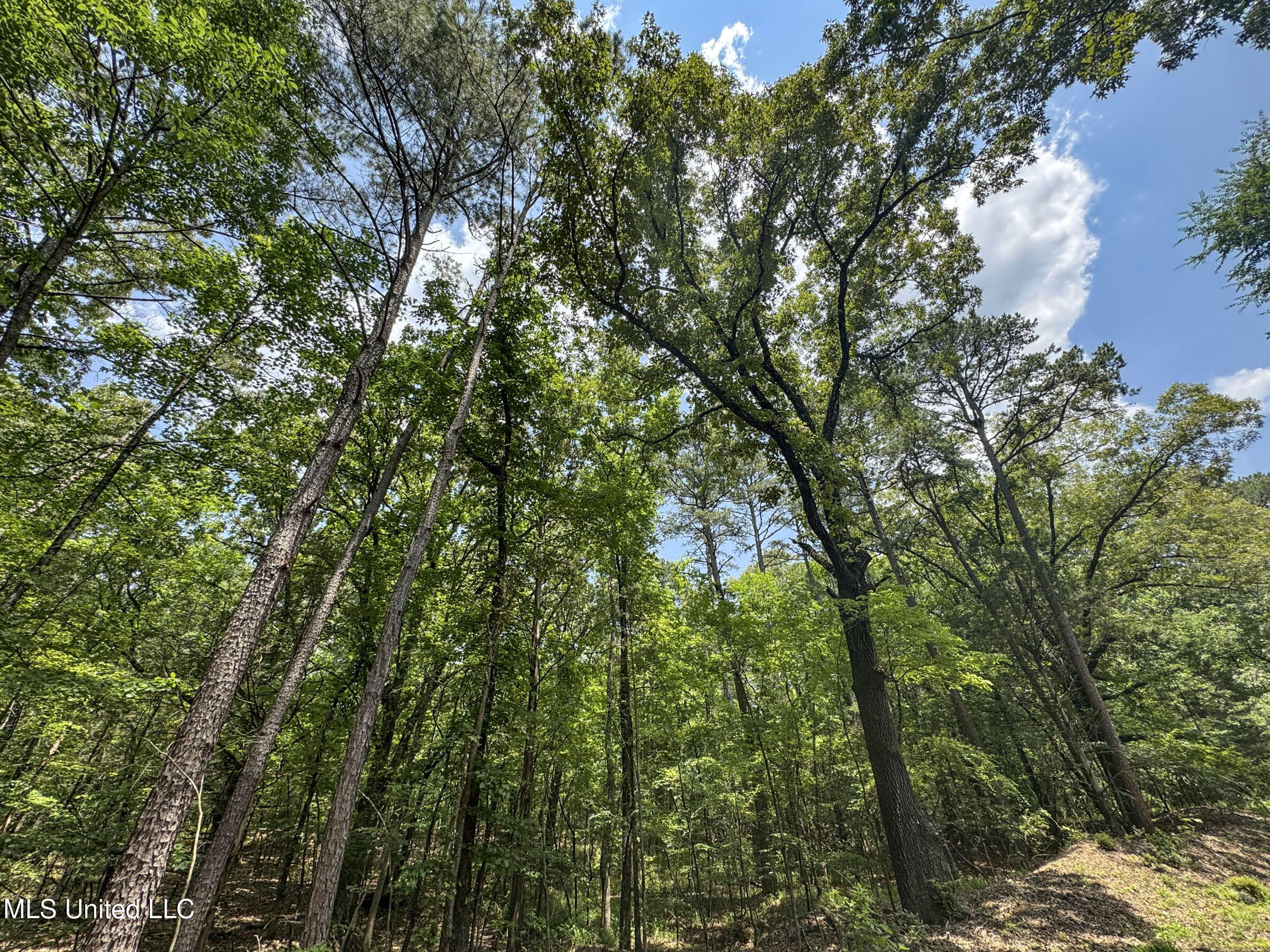 11 1057th Road, Unit COUNTRY Oxford, MS 38655 - Photo 39 of 60 3.1kjsd21