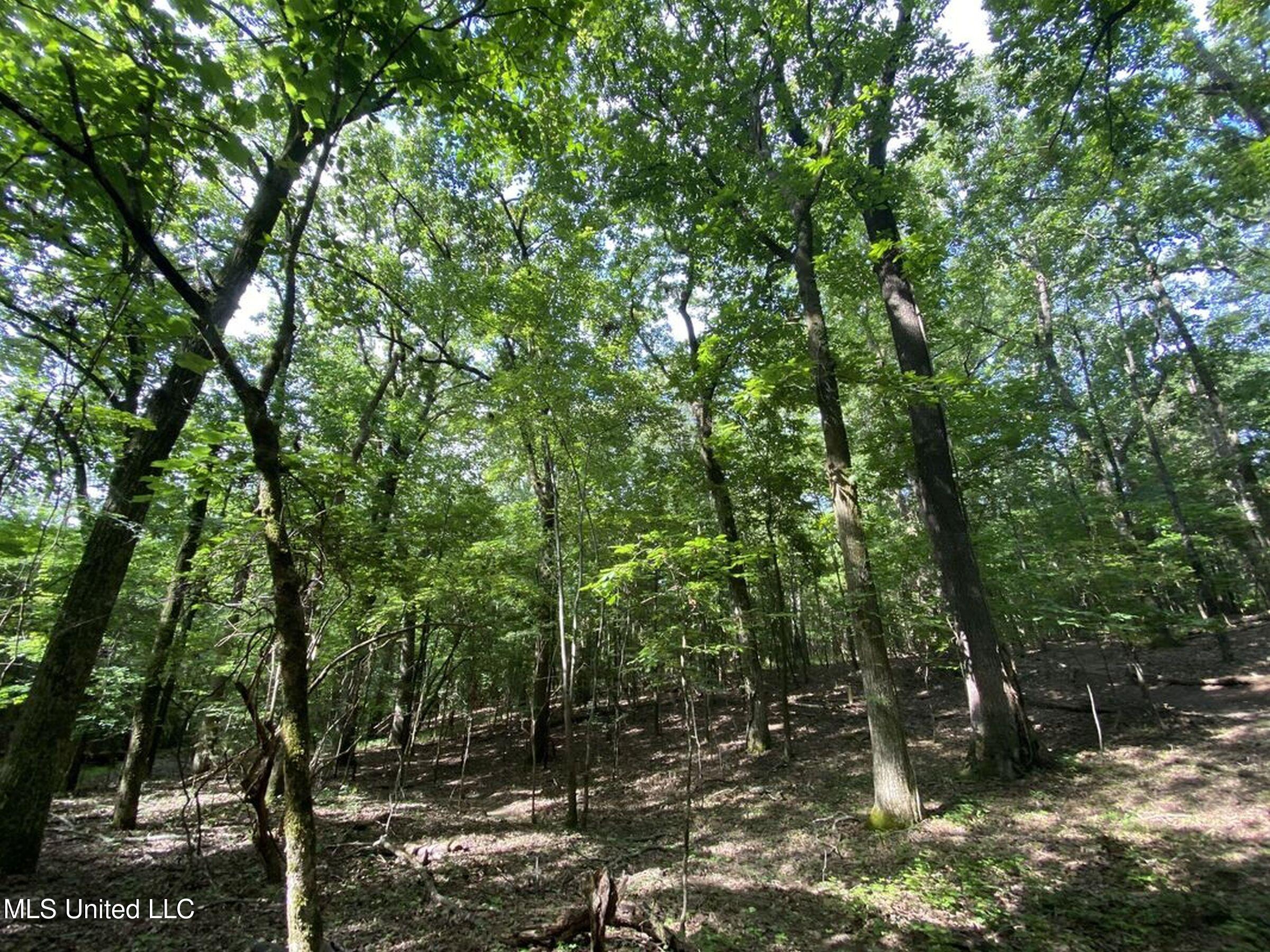 11 1057th Road, Unit COUNTRY Oxford, MS 38655 - Photo 44 of 60 3kjsd34