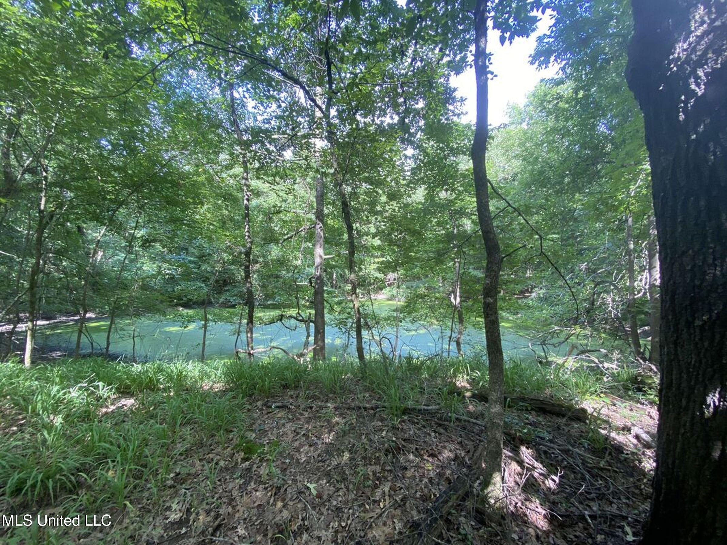 11 1057th Road, Unit COUNTRY Oxford, MS 38655 - Photo 54 of 60 3kjsd44
