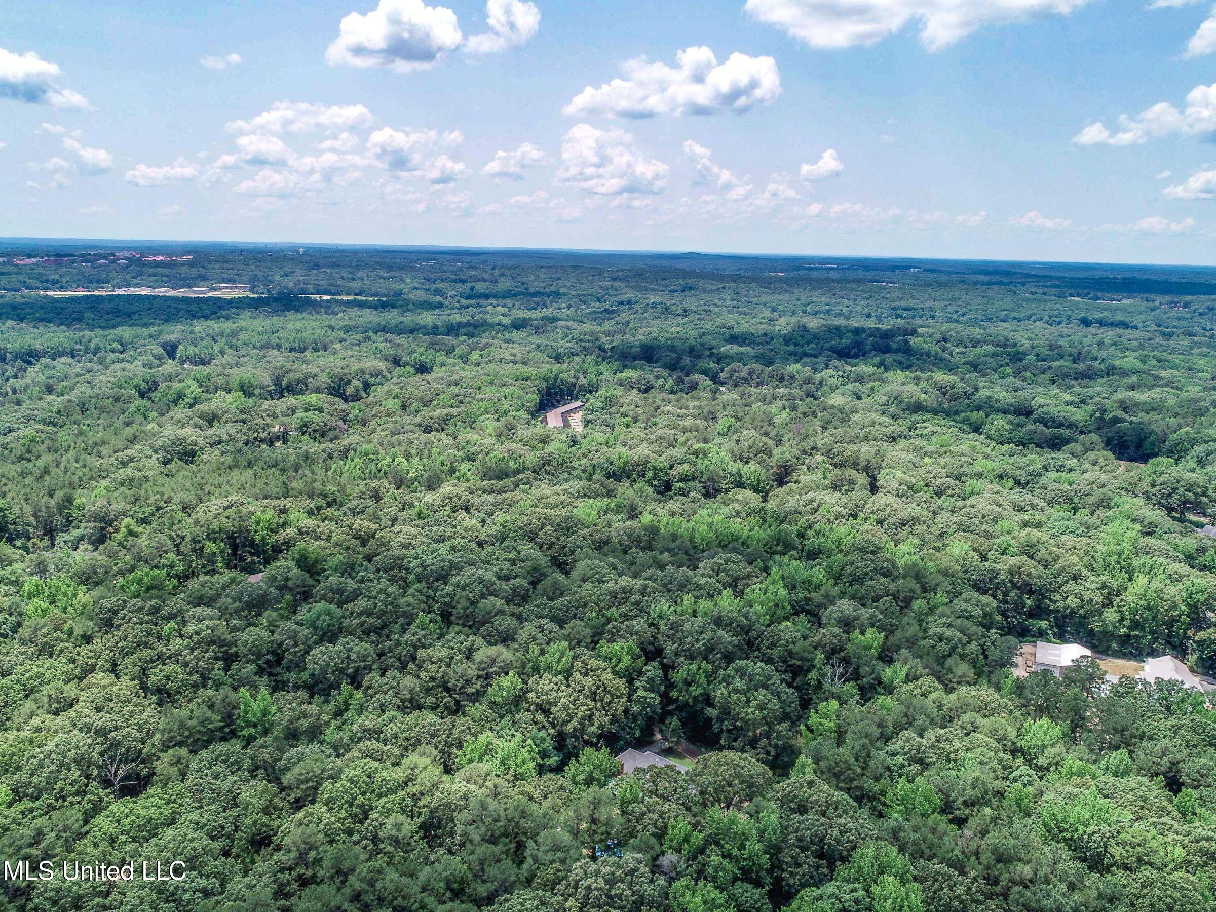 11 1057th Road, Unit COUNTRY Oxford, MS 38655 - Photo 10 of 60 3kjsd12